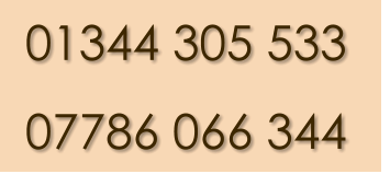 01344 305 533 07786 066 344