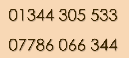 01344 305 533 07786 066 344